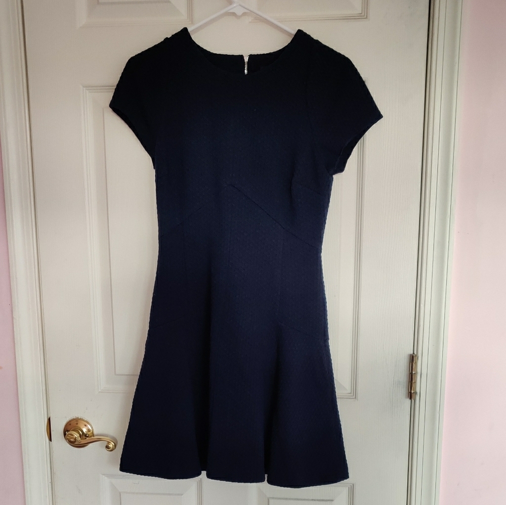 Banana Republic A line navy blue dress